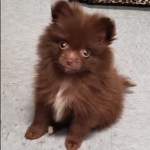 Meet your Posher, Eddy